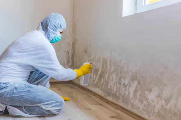 Best Residential Mold Removal  in San Andreas, CA