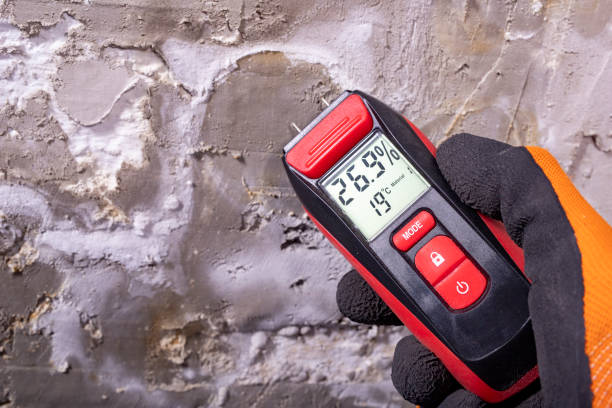 Reliable San Andreas, CA Mold Removal Solutions